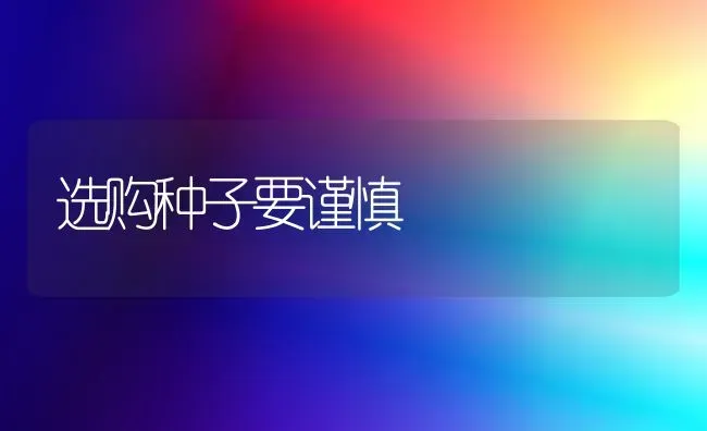 选购种子要谨慎 | 养殖知识