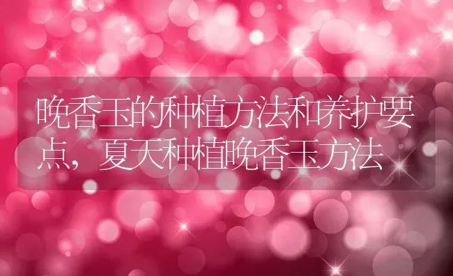 金枝玉叶多肉怎么养殖方法,金枝玉叶多肉怎么养殖方法 | 养殖科普