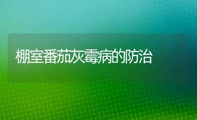 棚室番茄灰霉病的防治 | 养殖技术大全