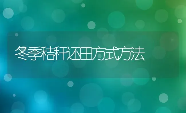 冬季秸秆还田方式方法 | 养殖知识