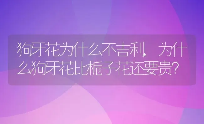 狗牙花为什么不吉利,为什么狗牙花比栀子花还要贵？ | 养殖学堂
