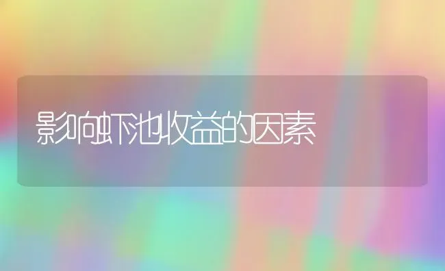 影响虾池收益的因素 | 养殖技术大全