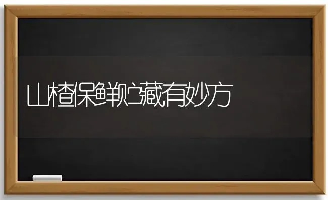 山楂保鲜贮藏有妙方 | 养殖技术大全