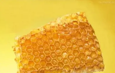 蜂胶生产技术 | 实用知识