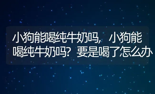 小狗能喝纯牛奶吗,小狗能喝纯牛奶吗?要是喝了怎么办 | 养殖资料