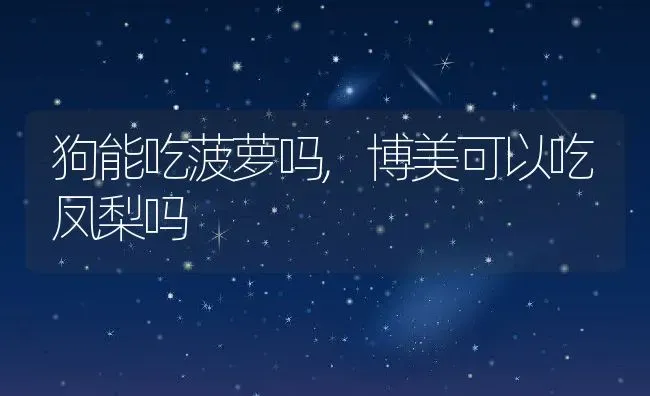 狗能吃菠萝吗,博美可以吃凤梨吗 | 养殖学堂