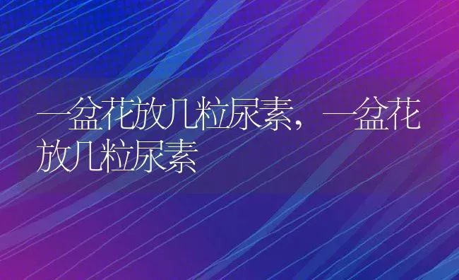 拉的粑粑是黑色的怎么回事,怀孕拉的粑粑是黑色的怎么回事 | 养殖科普