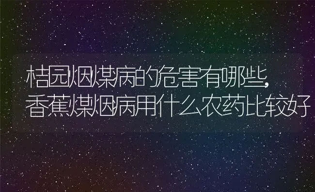 桔园烟煤病的危害有哪些,香蕉煤烟病用什么农药比较好 | 养殖学堂