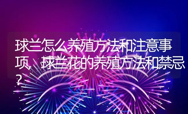 球兰怎么养殖方法和注意事项,球兰花的养殖方法和禁忌？ | 养殖科普