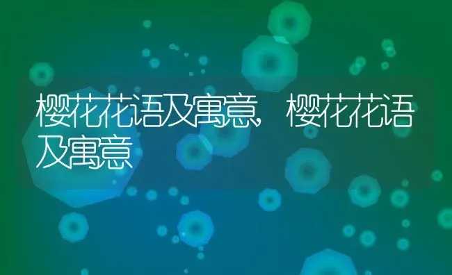 樱花花语及寓意,樱花花语及寓意 | 养殖科普