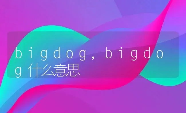 bigdog,bigdog什么意思 | 养殖资料