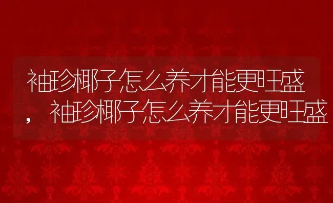 袖珍椰子怎么养才能更旺盛,袖珍椰子怎么养才能更旺盛 | 养殖科普