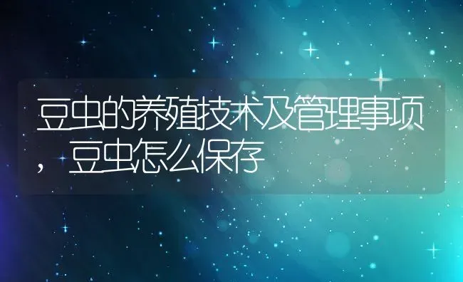 豆虫的养殖技术及管理事项,豆虫怎么保存 | 养殖学堂