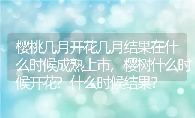 樱桃几月开花几月结果在什么时候成熟上市,樱树什么时候开花?什么时候结果？ | 养殖科普