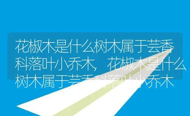 花椒木是什么树木属于芸香科落叶小乔木,花椒木是什么树木属于芸香科落叶小乔木 | 养殖科普