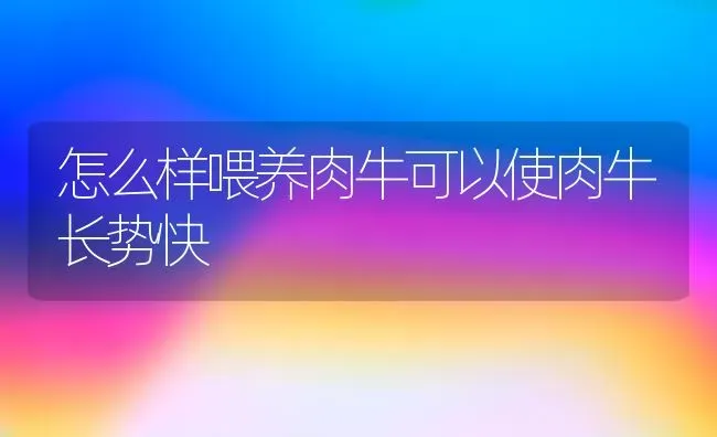 怎么样喂养肉牛可以使肉牛长势快 | 养殖技术大全