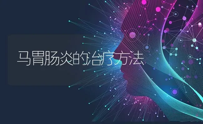 马胃肠炎的治疗方法 | 养殖技术大全