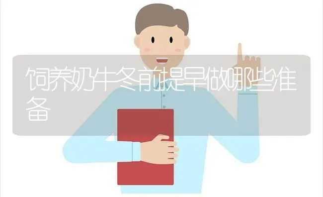 饲养奶牛冬前提早做哪些准备 | 养殖技术大全