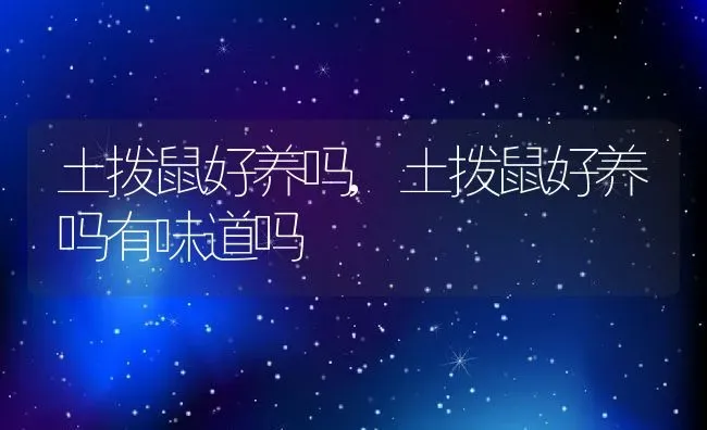 土拨鼠好养吗,土拨鼠好养吗有味道吗 | 养殖科普