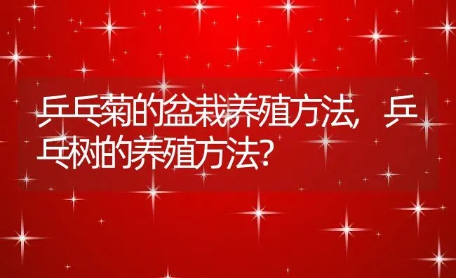 乒乓菊的盆栽养殖方法,乒乓树的养殖方法？ | 养殖科普