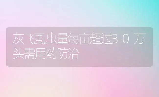 灰飞虱虫量每亩超过30万头需用药防治 | 养殖知识