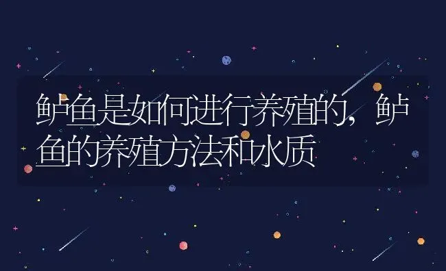 鲈鱼是如何进行养殖的,鲈鱼的养殖方法和水质 | 养殖学堂