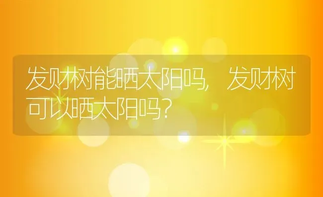 发财树能晒太阳吗,发财树可以晒太阳吗？ | 养殖科普