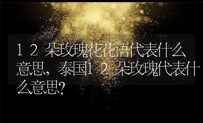 12朵玫瑰花花语代表什么意思,泰国12朵玫瑰代表什么意思？ | 养殖科普