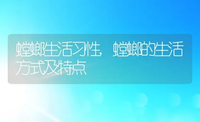 螳螂生活习性,螳螂的生活方式及特点 | 养殖科普