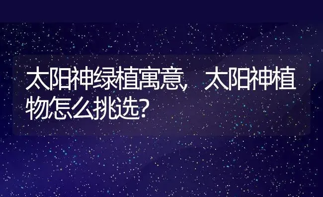 太阳神绿植寓意,太阳神植物怎么挑选？ | 养殖学堂