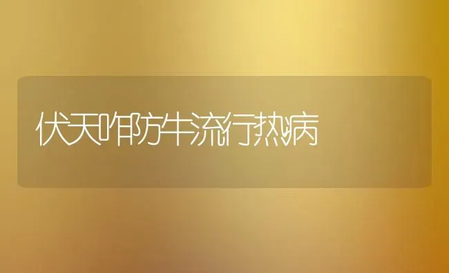 伏天咋防牛流行热病 | 养殖知识