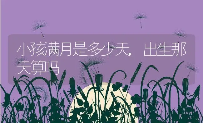 小孩满月是多少天,出生那天算吗 | 养殖资料
