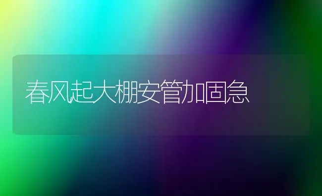 春风起大棚安管加固急 | 养殖知识