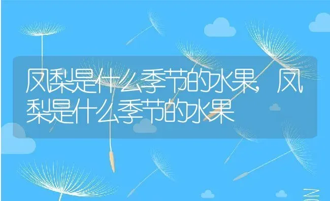 凤梨是什么季节的水果,凤梨是什么季节的水果 | 养殖科普