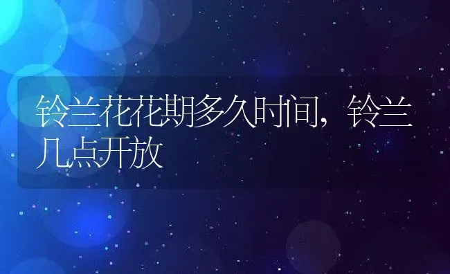 铃兰花花期多久时间,铃兰几点开放 | 养殖学堂