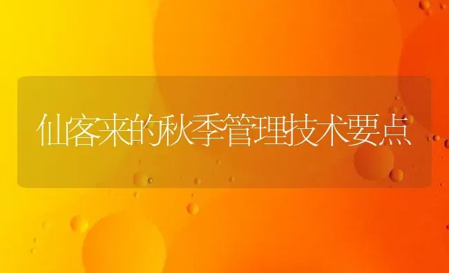 仙客来的秋季管理技术要点 | 养殖知识