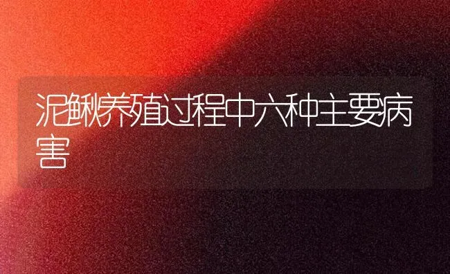 泥鳅养殖过程中六种主要病害 | 养殖技术大全