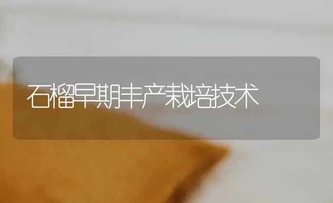 石榴早期丰产栽培技术 | 养殖技术大全