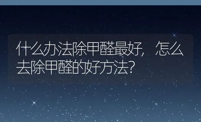 什么办法除甲醛最好,怎么去除甲醛的好方法？ | 养殖学堂