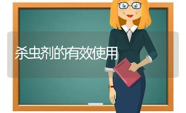 杀虫剂的有效使用 | 养殖知识