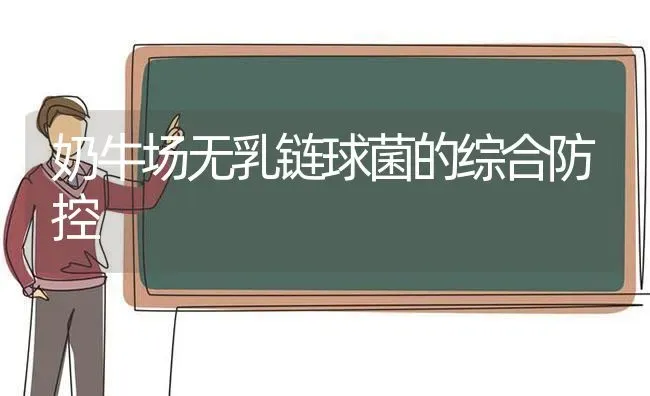 奶牛场无乳链球菌的综合防控 | 养殖技术大全