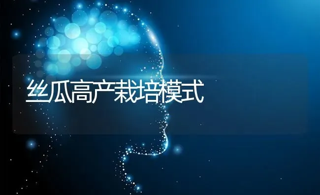 丝瓜高产栽培模式 | 养殖技术大全