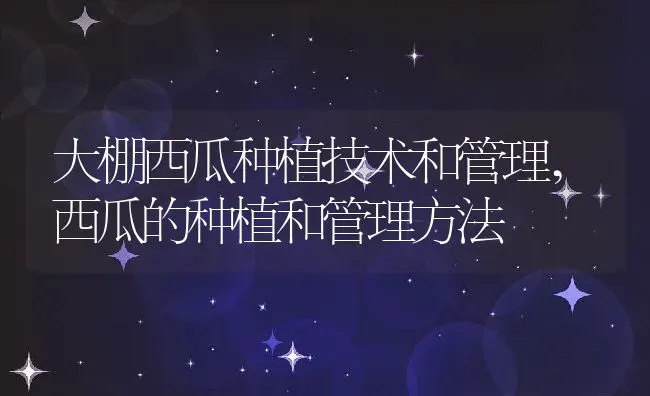 大棚西瓜种植技术和管理,西瓜的种植和管理方法 | 养殖学堂