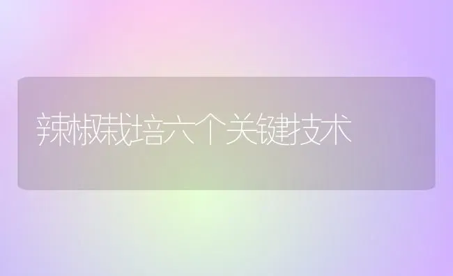 辣椒栽培六个关键技术 | 养殖知识