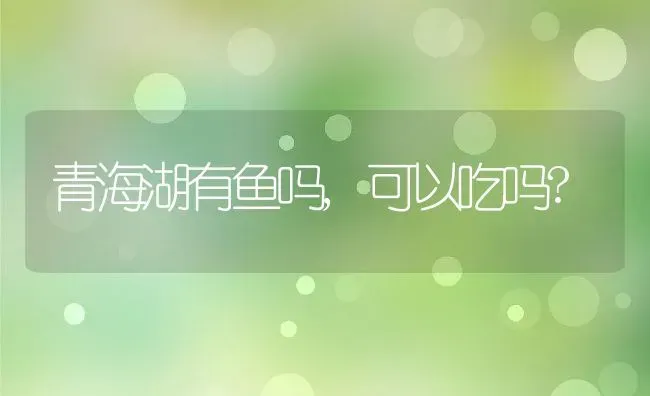 青海湖有鱼吗,可以吃吗? | 养殖科普