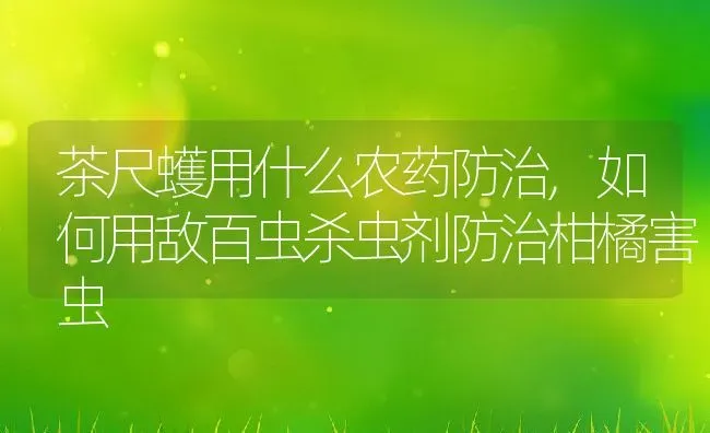 茶尺蠖用什么农药防治,如何用敌百虫杀虫剂防治柑橘害虫 | 养殖学堂