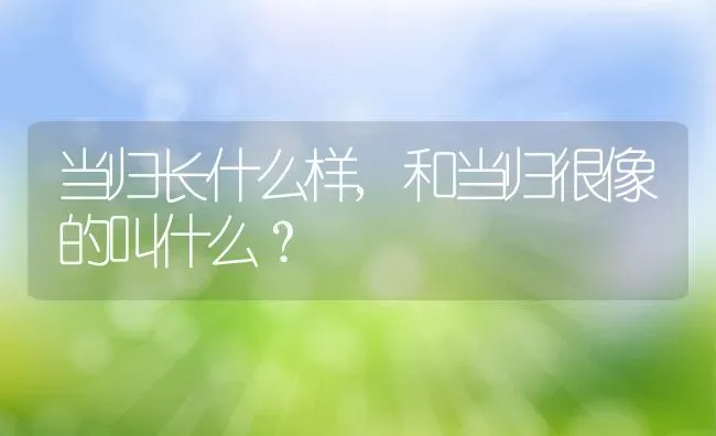 当归长什么样,和当归很像的叫什么？ | 养殖科普