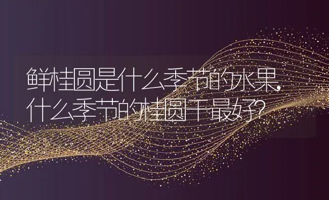 鲜桂圆是什么季节的水果,什么季节的桂圆干最好？ | 养殖科普