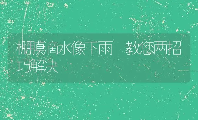 棚膜滴水像下雨 教您两招巧解决 | 养殖技术大全