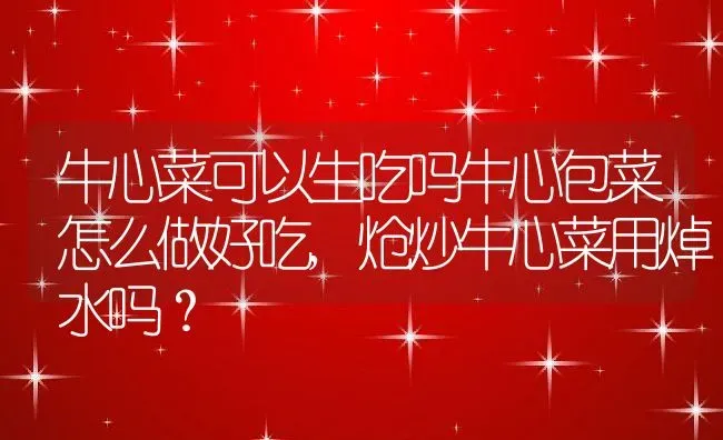 牛心菜可以生吃吗牛心包菜怎么做好吃,炝炒牛心菜用焯水吗？ | 养殖科普